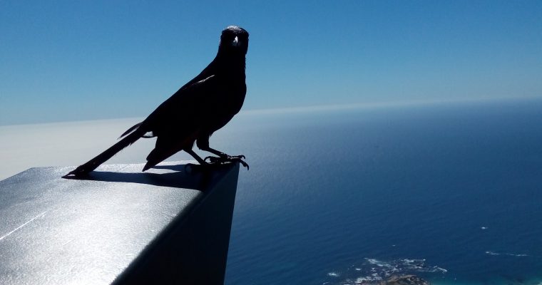 My journey to the cross