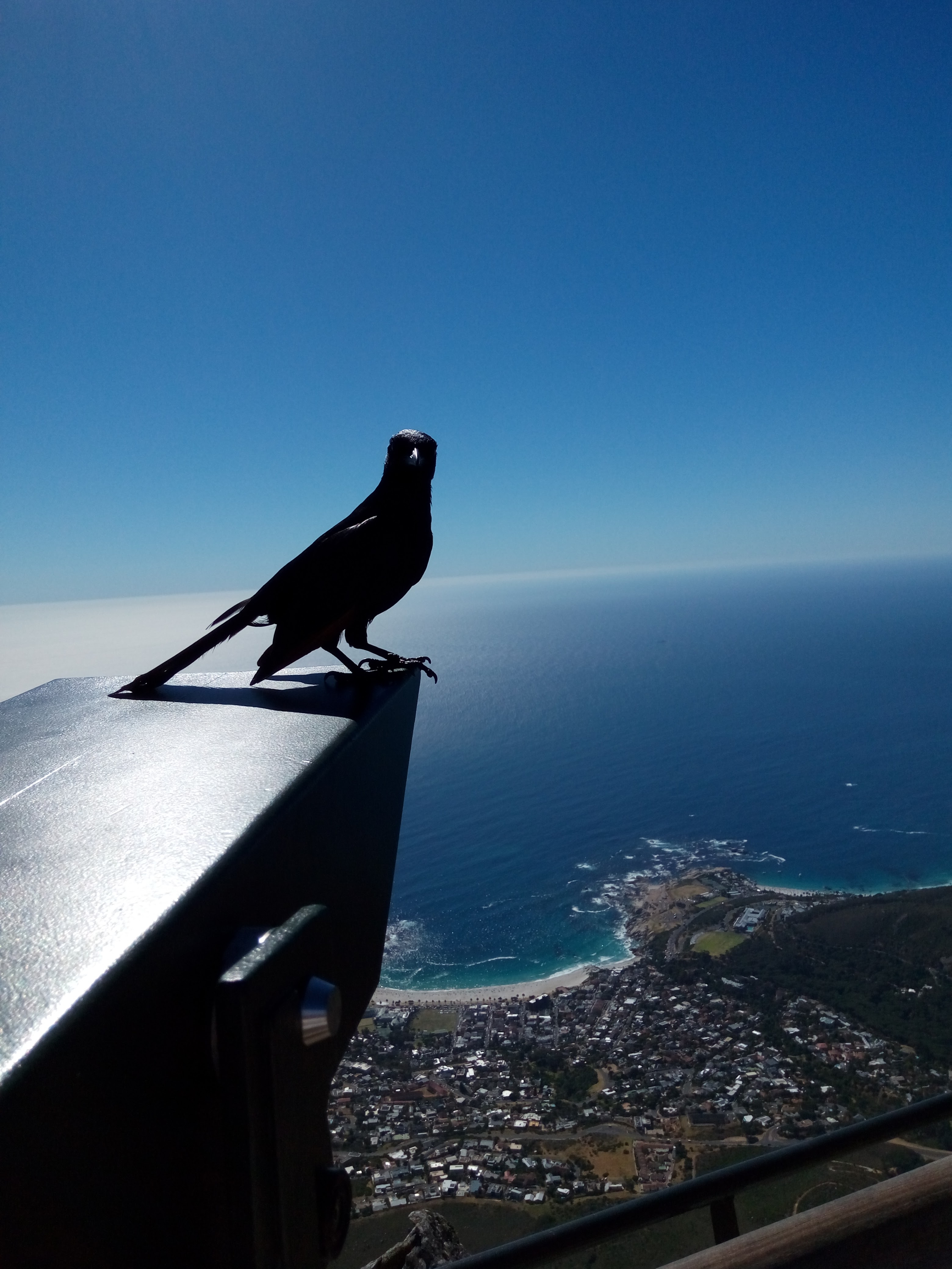 My journey to the cross