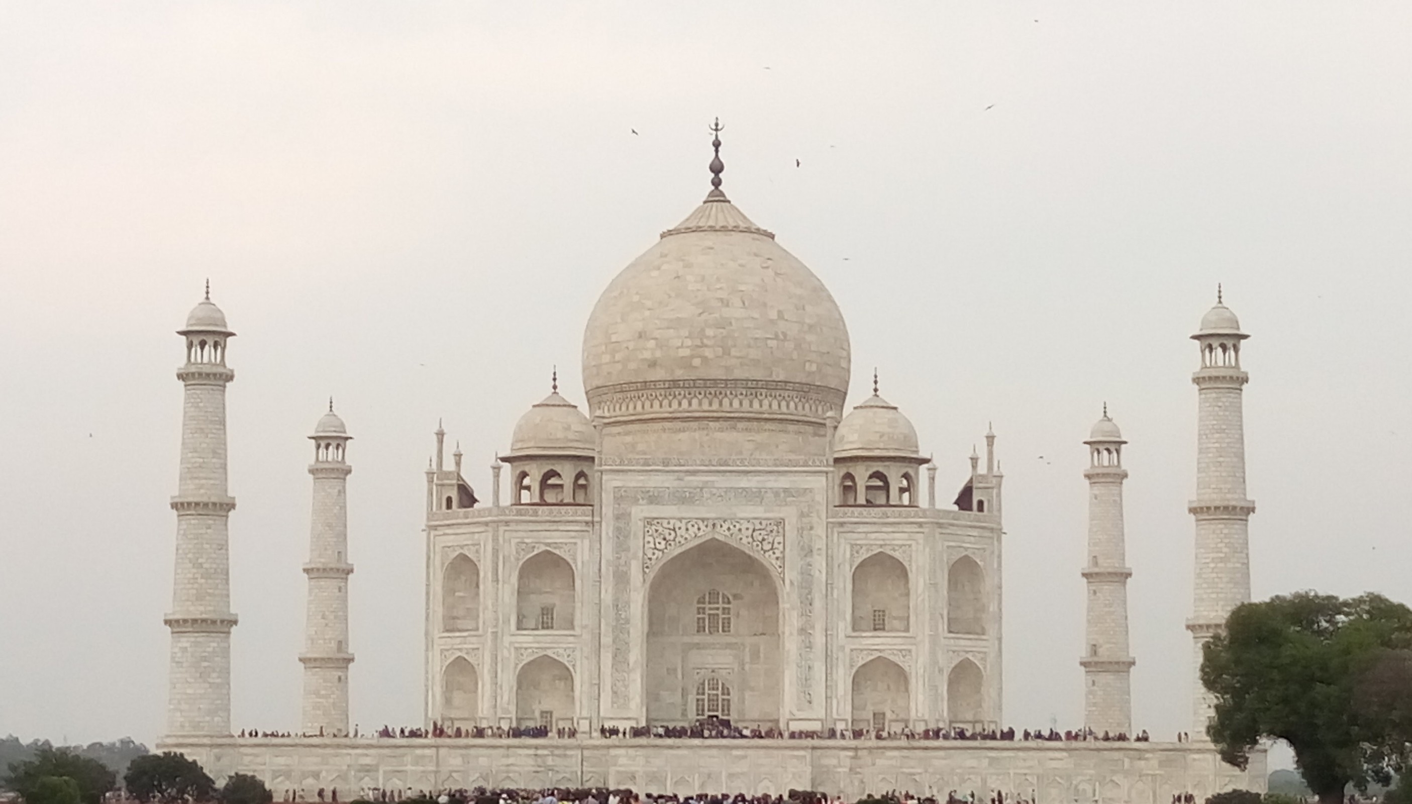 Breathtaking Taj Mahal